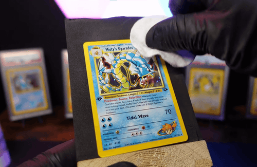 Sammelkarte wird mit Reinigungstuch vorsichtig gereinigt.